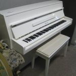 490 3598 Piano + pall